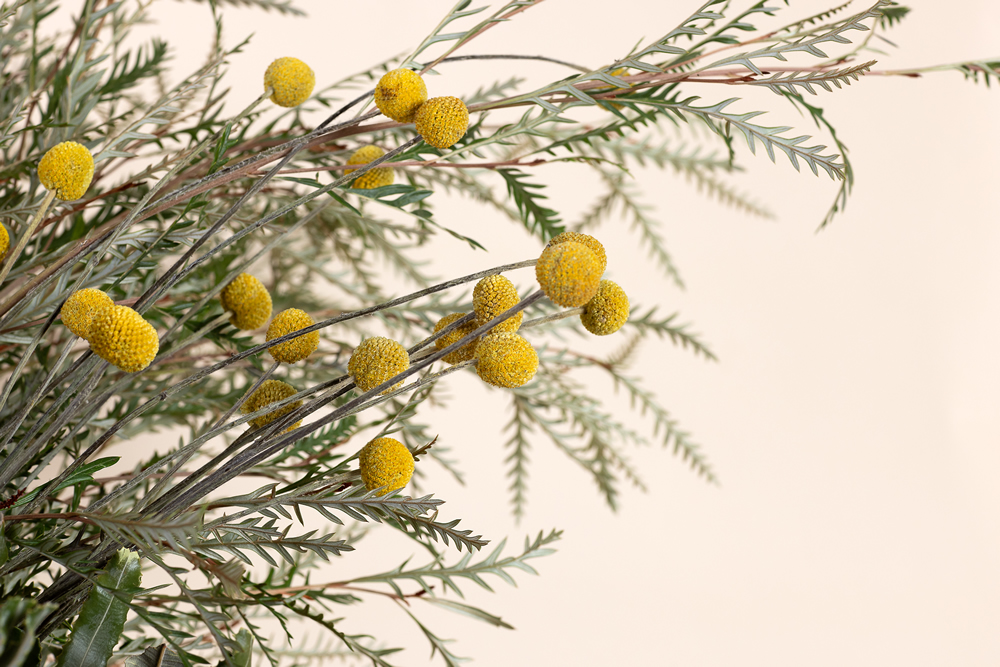 Native Vase Workshop