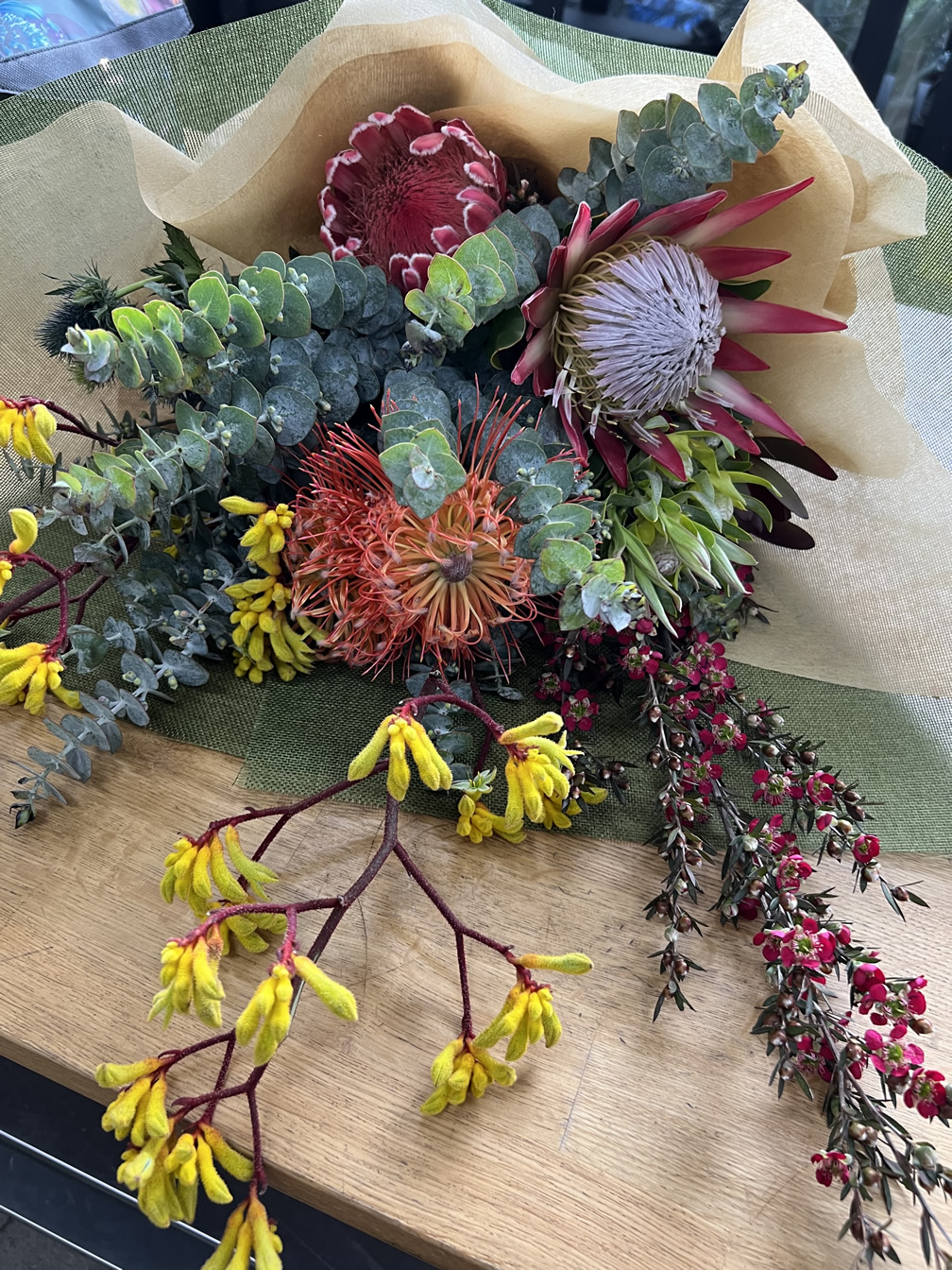 Kangaroo Paw and Australian natives