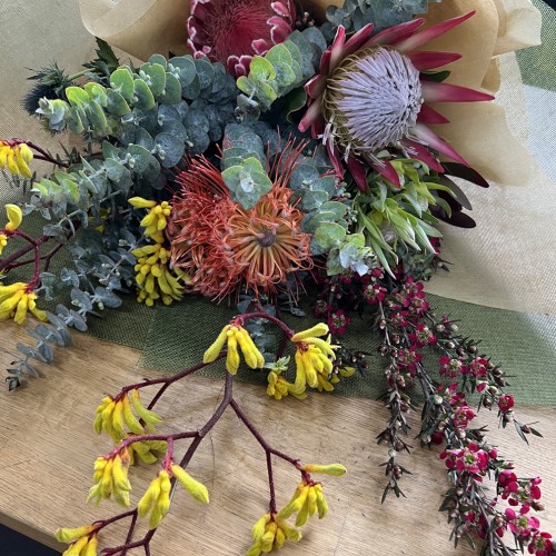 Kangaroo Paw and Australian natives